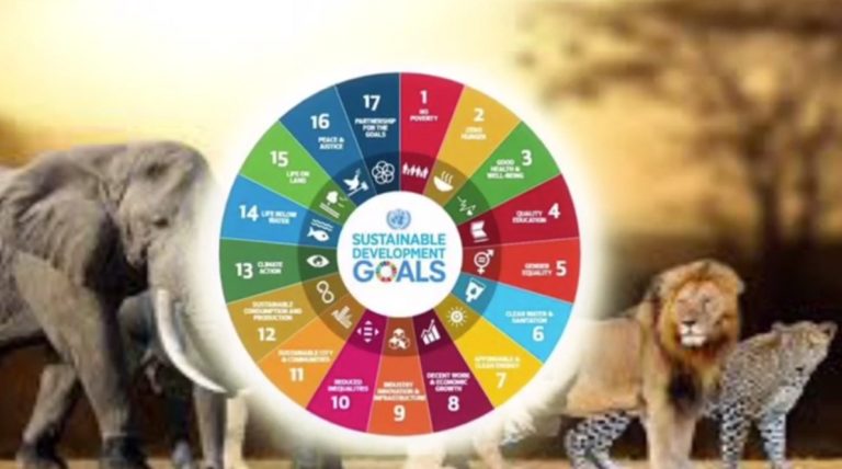 développement durable