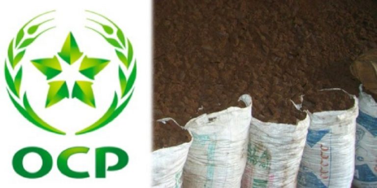 OCP Kenya
