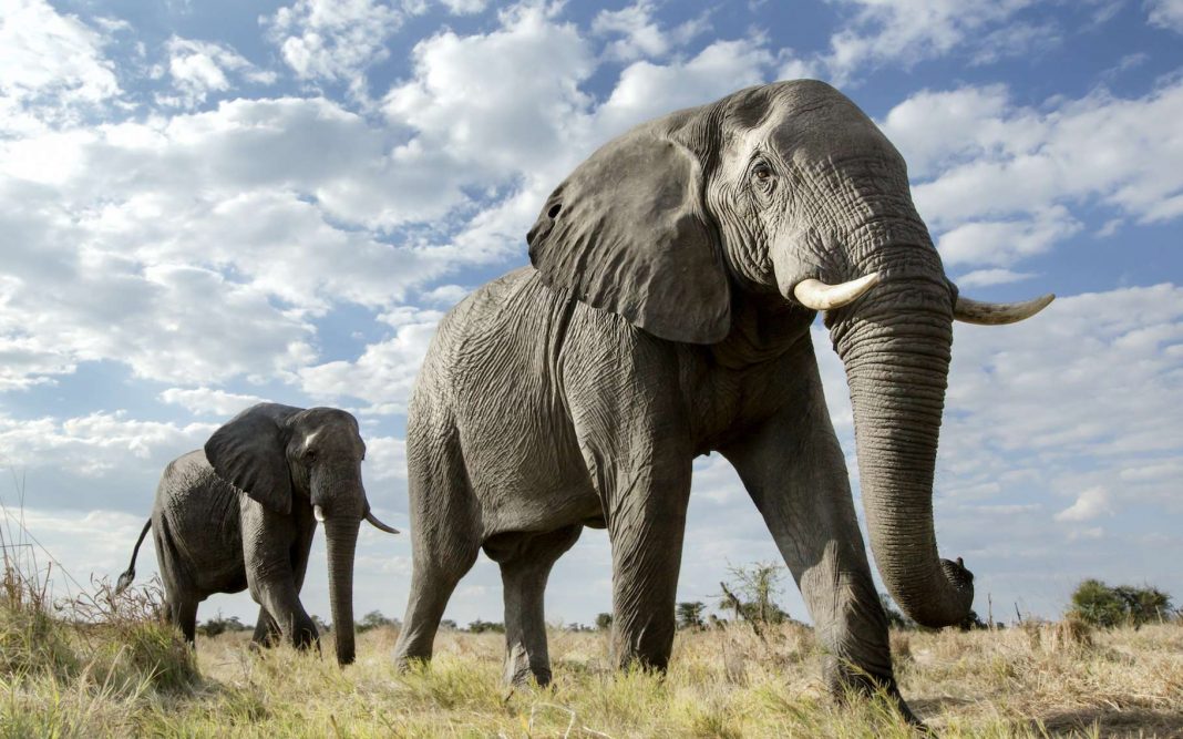 Botswana