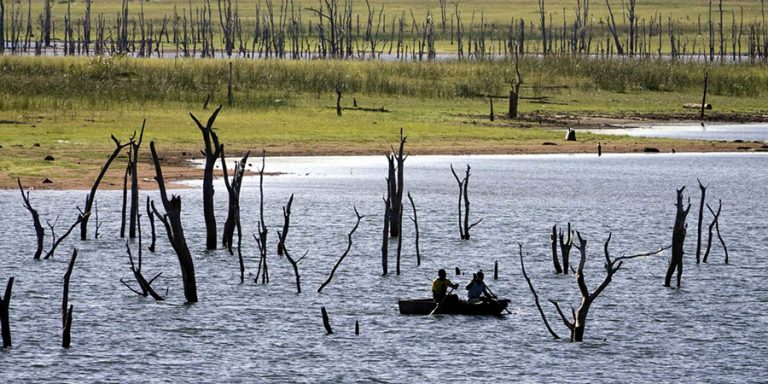 Les leçons de la Covid-19 : De l’espoir pour les eﬀorts mondiaux destinés à faire face aux impacts du changement climatique