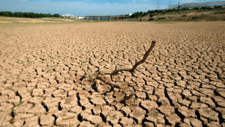 réchauffement climatique