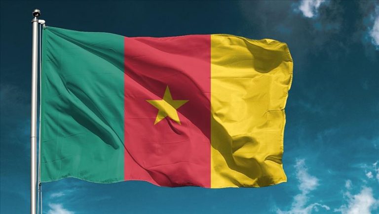 Le Cameroun devient le 33ème pays à ratifier la ZLECA un mois avant le début des échanges