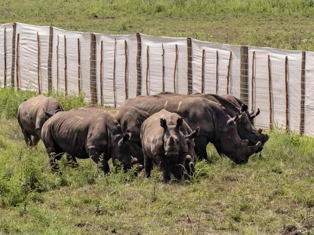 Afrique du Sud