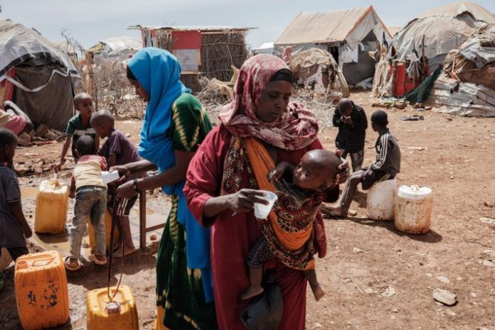 Près d'un demi-million de Kényans menacés de faim à cause de la sécheresse