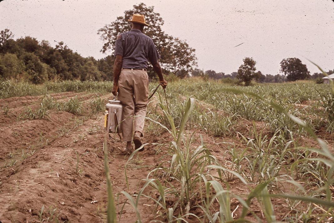 pesticides