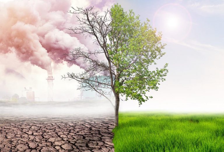 Sénégal/PNUD: 2,6 millions de dollars pour renforcer l’adaptation au changement climatique