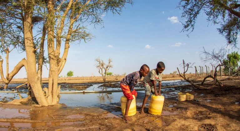 El Niño sème la désolation au Zimbabwe