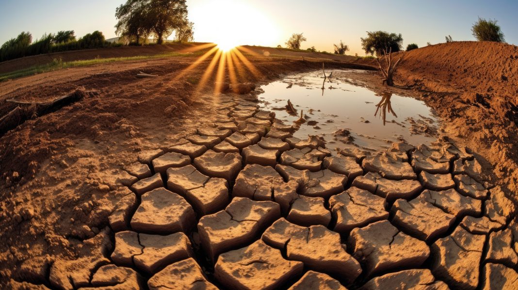 canicule secheresse