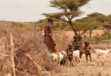 Kenya - enfants affectés par les chocs climatiques