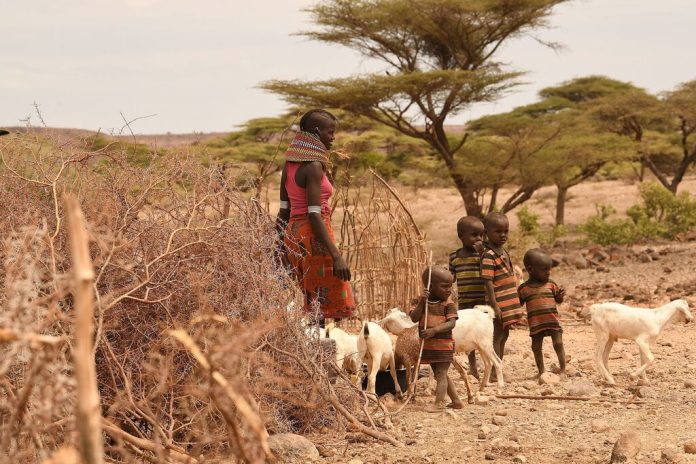 Kenya - enfants affectés par les chocs climatiques