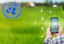 ONU - technologies numériques - protection de la nature