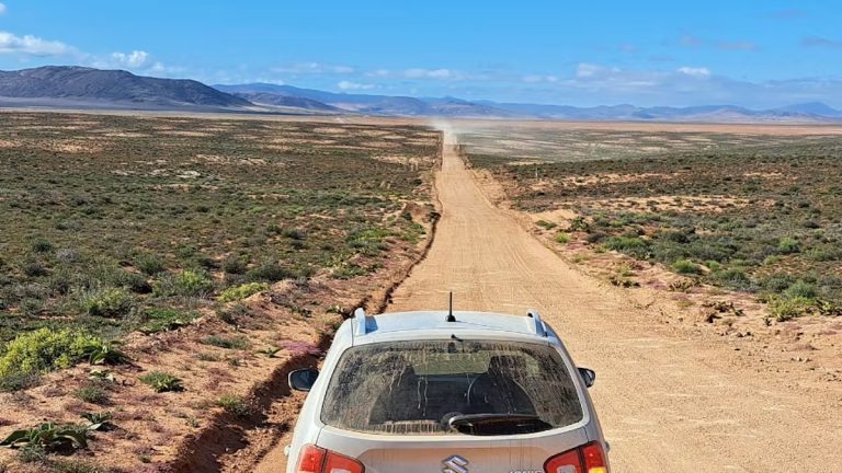 Afrique du Sud: un ressortissant allemand tué par un auto-stoppeur (police)