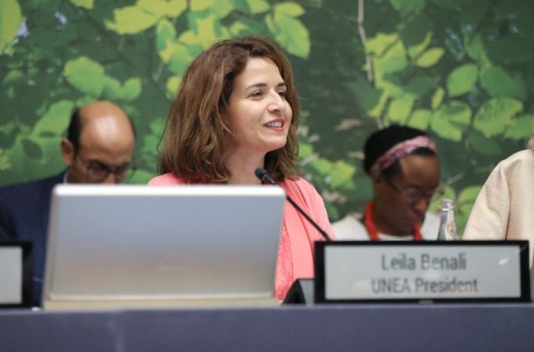 Le Maroc à la tête de l’ANUE-6: des avancées notables ont été réalisées (Leila Benali)