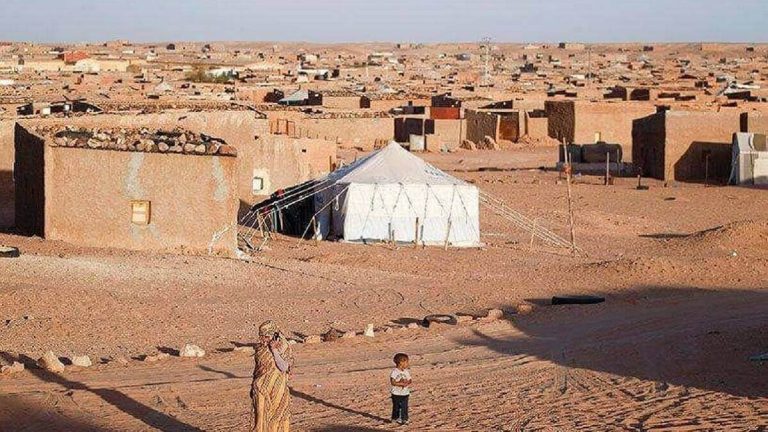 Droits de l’Homme : Des ONG condamnent les graves violations dans les camps de Tindouf