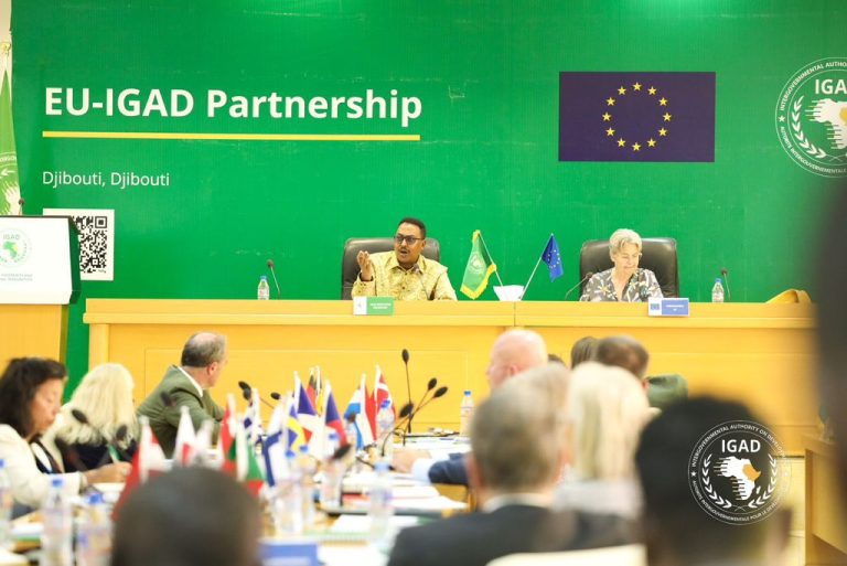 Djibouti: premier dialogue de partenariat global UA-IGAD