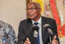 Le nouveau Premier ministre guinéen, Amadou Oury Bah