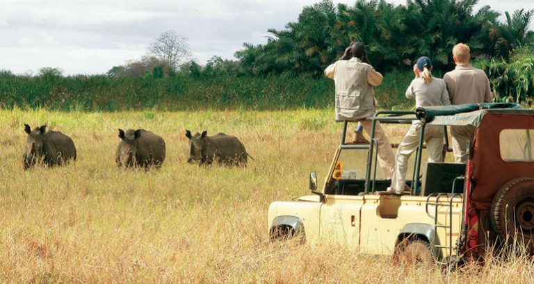 Kenya: hausse de 31,5% des revenus liés au tourisme en 2023