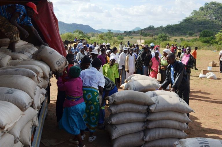 Zimbabwe: les défis économiques exacerbent l’insécurité alimentaire (rapport)