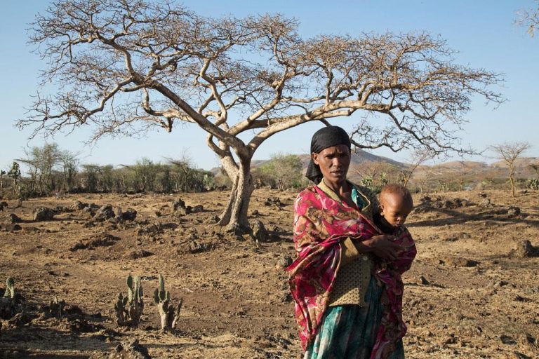 Ethiopie: 15,4 millions d’Éthiopiens touchés par l’insécurité alimentaire jusqu’à la seconde moitié de 2023 (PAM)