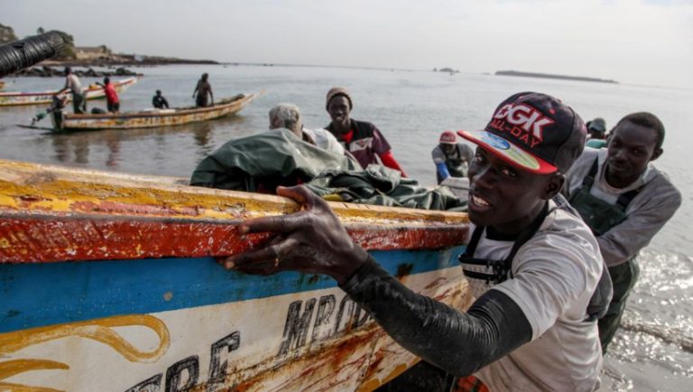 Sénégal : 132 navires nationaux et 19 navires étrangers autorisés à pêcher dans les eaux du pays