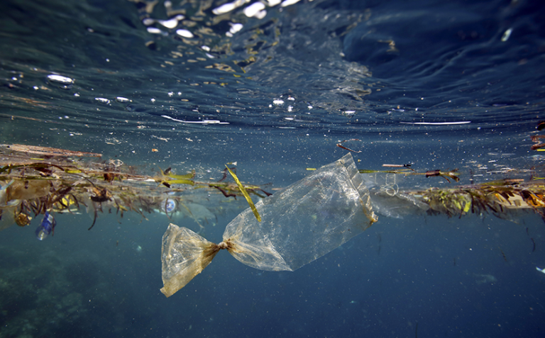 Afrique du Sud: plaidoyer pour une lutte accrue contre la pollution marine