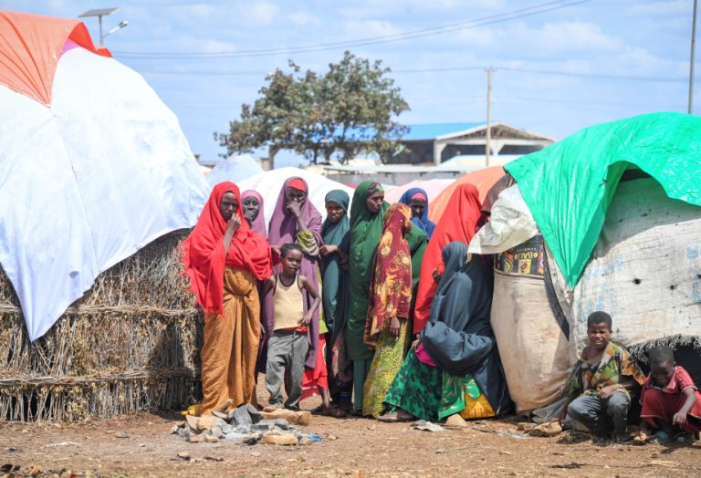 Somalie/FAO: 25 millions de dollars pour améliorer la sécurité alimentaire