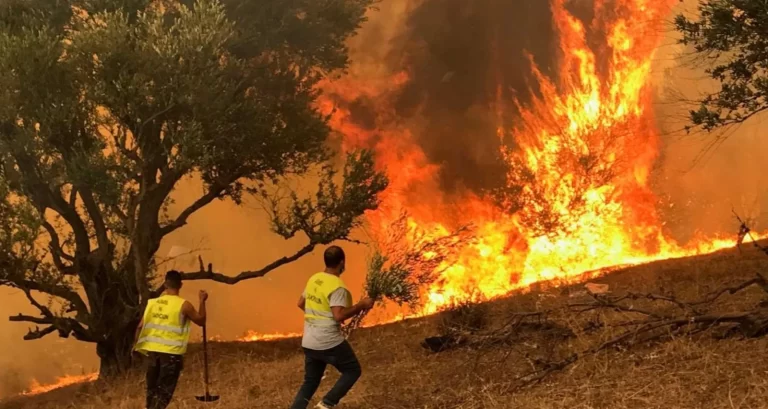 Algérie : plusieurs incendies de forêts enregistrés dans différentes régions du pays