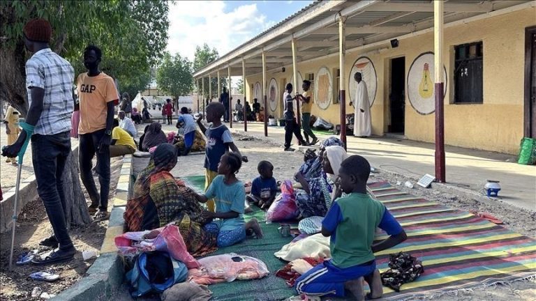 Migration : 4 577 Maliens rapatriés entre janvier et mi-juin courant (Officiel)