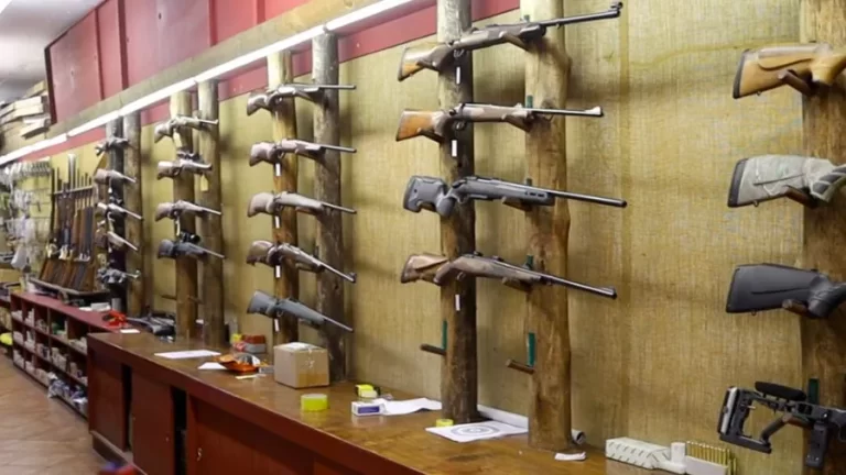 Afrique du Sud: près de 500.000 armes à feu illégales en circulation (ONG)