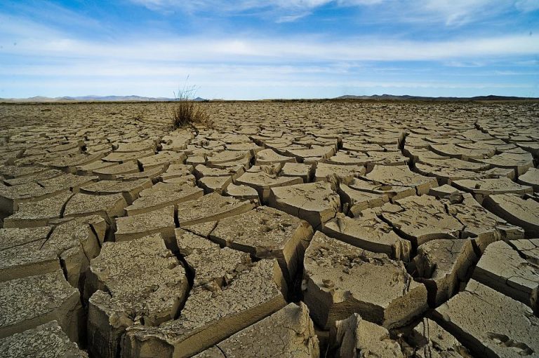 L’Afrique du Sud se dote, enfin, d’une loi sur le changement climatique