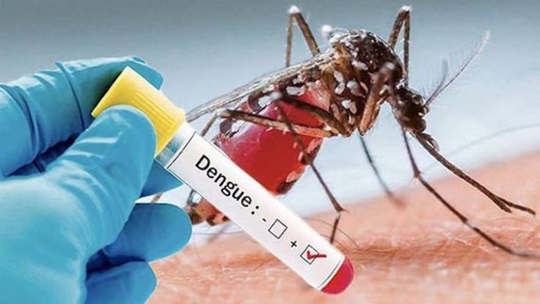 Ghana: Des cas de l’épidémie de dengue confirmés dans l’est du pays (Santé)