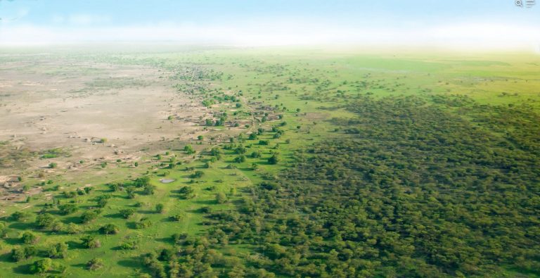 Sénégal : lancement d’un projet de lutte contre les changements climatiques sur le tracé de la Grande Muraille Verte