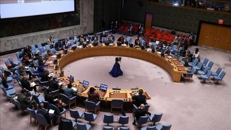 Onze pays africains exigent une meilleure représentation à l’ONU