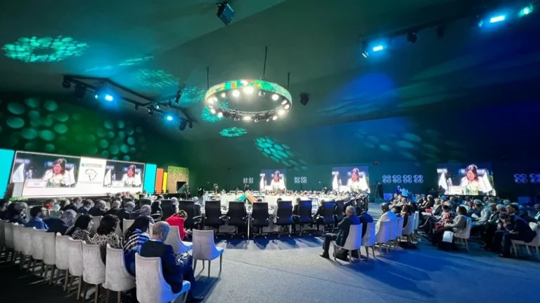 L’Afrique australe appelée à agir rapidement contre le changement climatique (conférence)