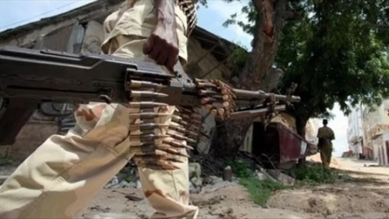 Somalie: 27 terroristes d’Al-Shabaab tués par l’armée