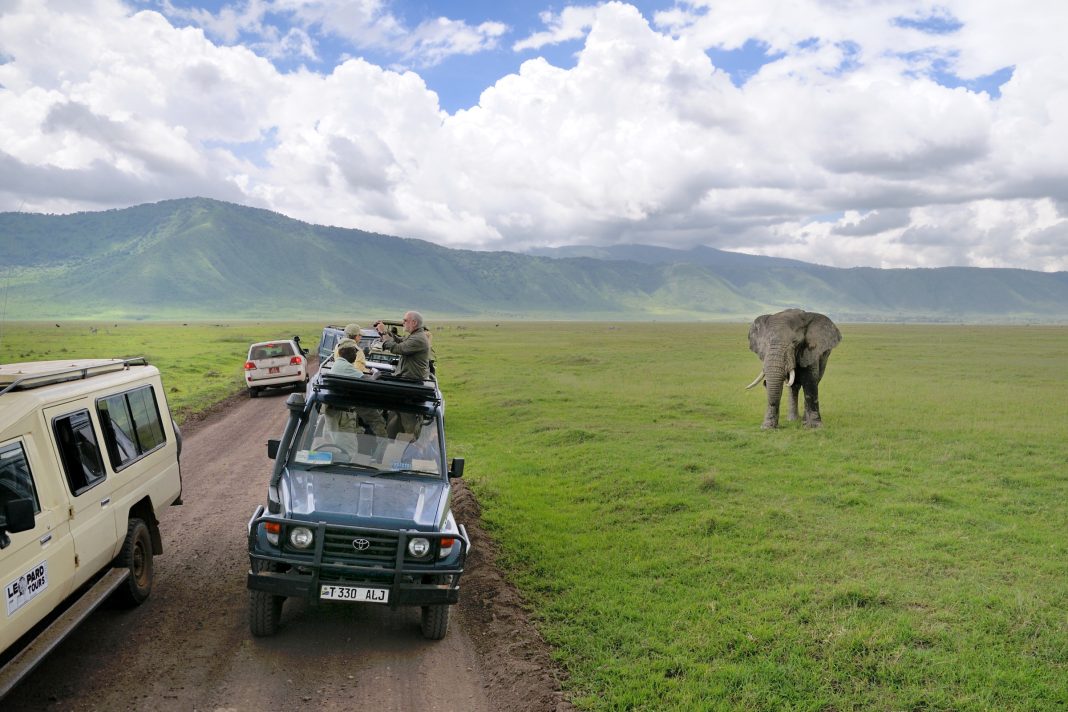 Tanzanie: les arrivées des touristes étrangers