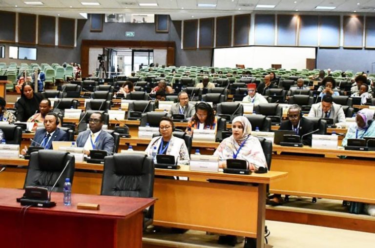 La 4ème session ordinaire du PAP s’ouvre à Johannesburg en présence de députés marocains