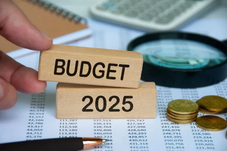 projet de loi de finances
