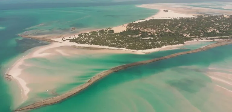 Le Mozambique approuve une réglementation sur le commerce international des espèces menacées d’extinction