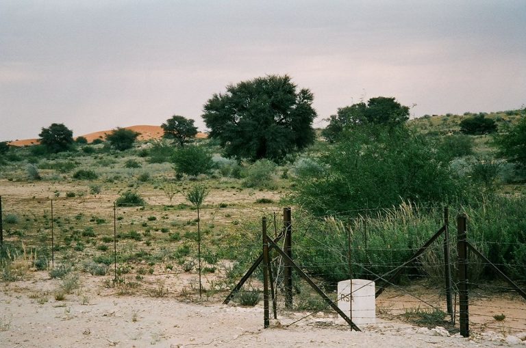 frontière