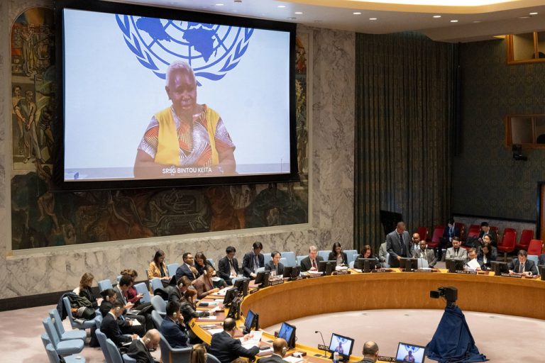 Conseil de sécurité: Appel à la cessation des hostilités en RDC pour répondre aux besoins humanitaires