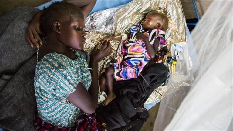 Nigeria : au moins 13 morts dans une épidémie de fièvre de Lassa dans le sud