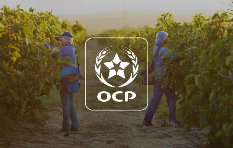 OCP : Un chiffre d’affaires de 97 MMDH en 2024