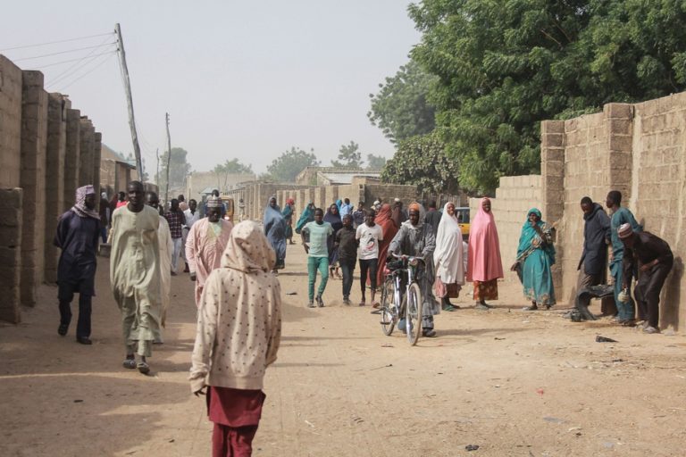 Nigeria: 10 membres des forces d’autodéfense tués par des « bandits » dans le nord