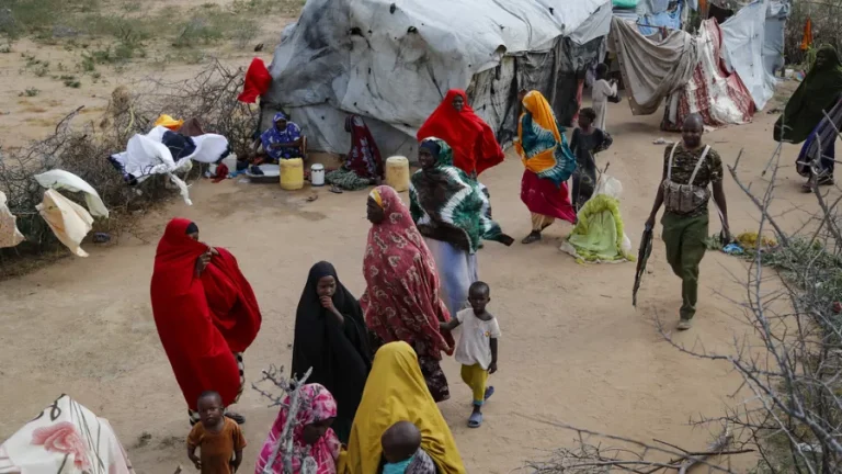 Kenya: les réfugiés confrontés à des risques accrus de famine