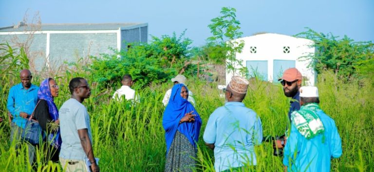Djibouti : un projet soutenu par la BAD renforce la résilience climatique des femmes rurales