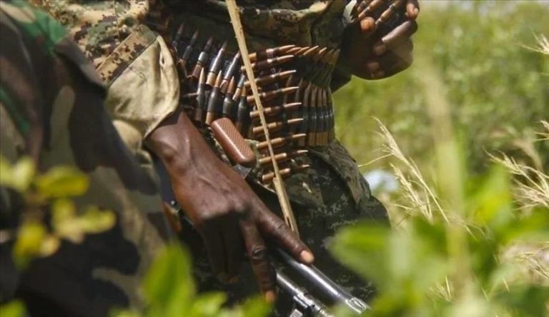 Sahel : la force unifiée de l’AES s’engage à étouffer les opérations terroristes