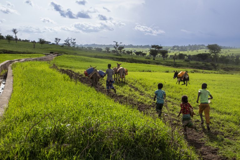 agricole