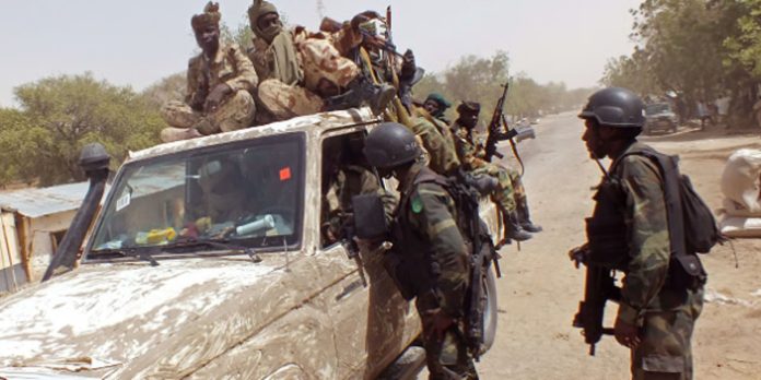 Nord-du-Cameroun