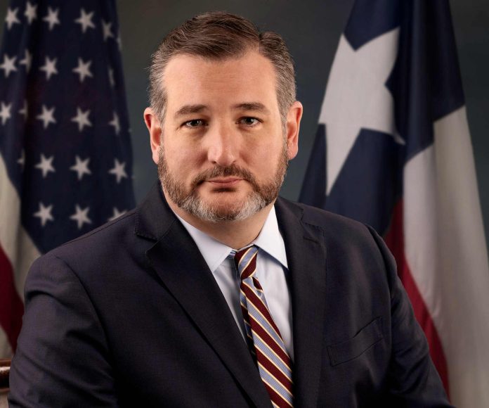 Senator Ted Cruz